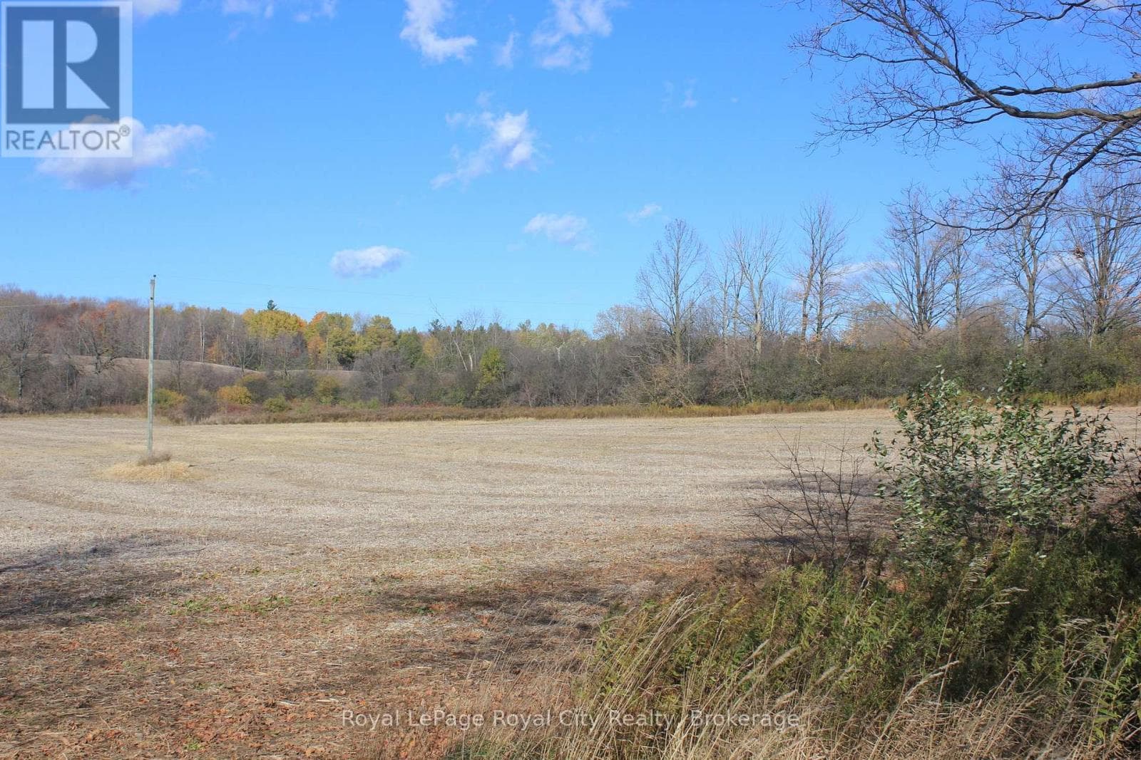 4507 CONCESSION 7 ROAD — photo 2