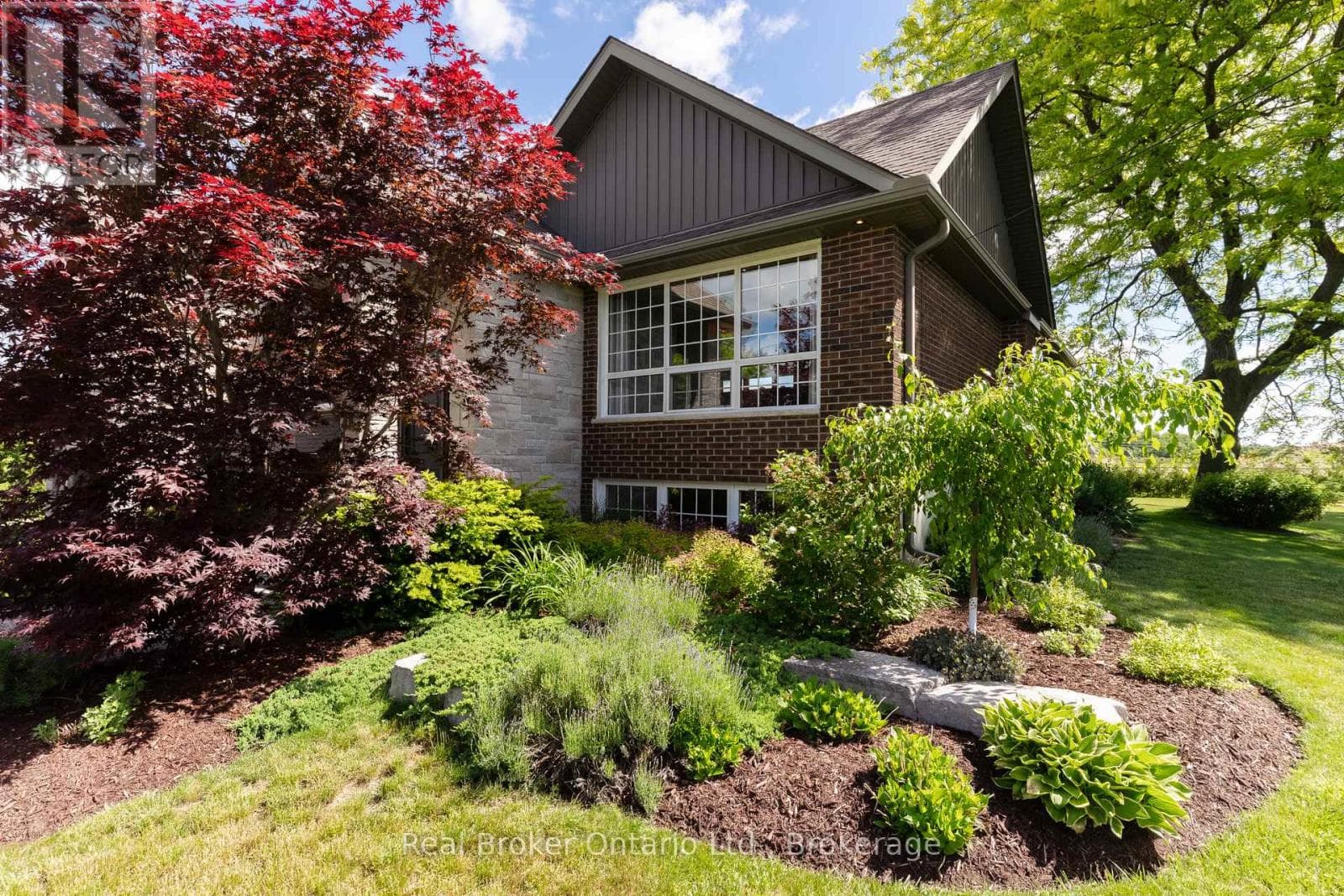 115 KENNEDY ROAD — photo 3