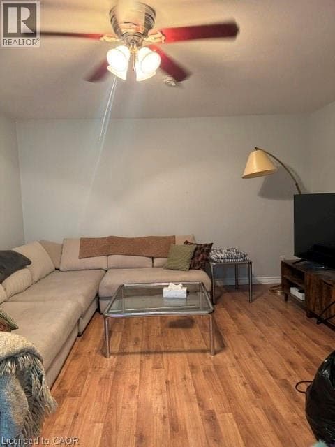 54 WALTER Street — photo 3