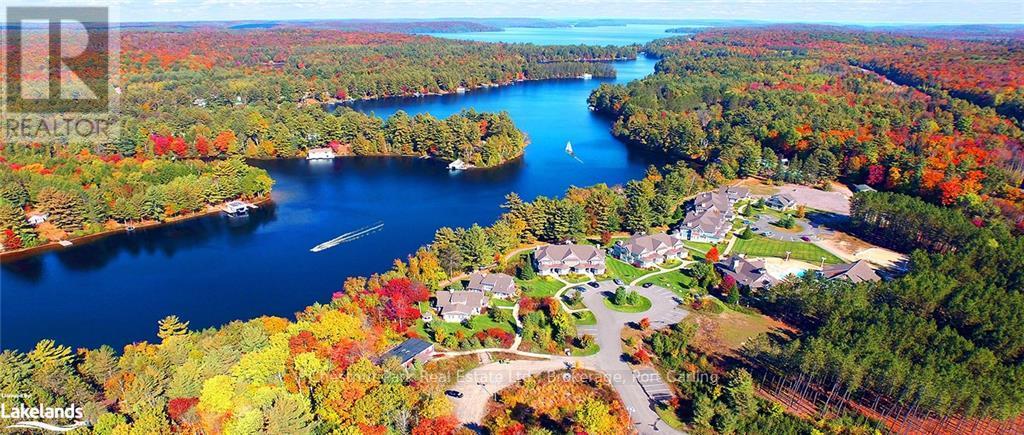 2769 Muskoka Rd 117 & Birch Glen Road, Lake Of Bays (Mclean), Ontario  P0B 1A0 - Photo 5 - X10894332