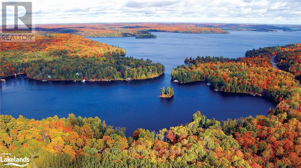 2769 Muskoka Rd 117 & Birch Glen Road, Lake Of Bays (Mclean), Ontario  P0B 1A0 - Photo 6 - X10894332