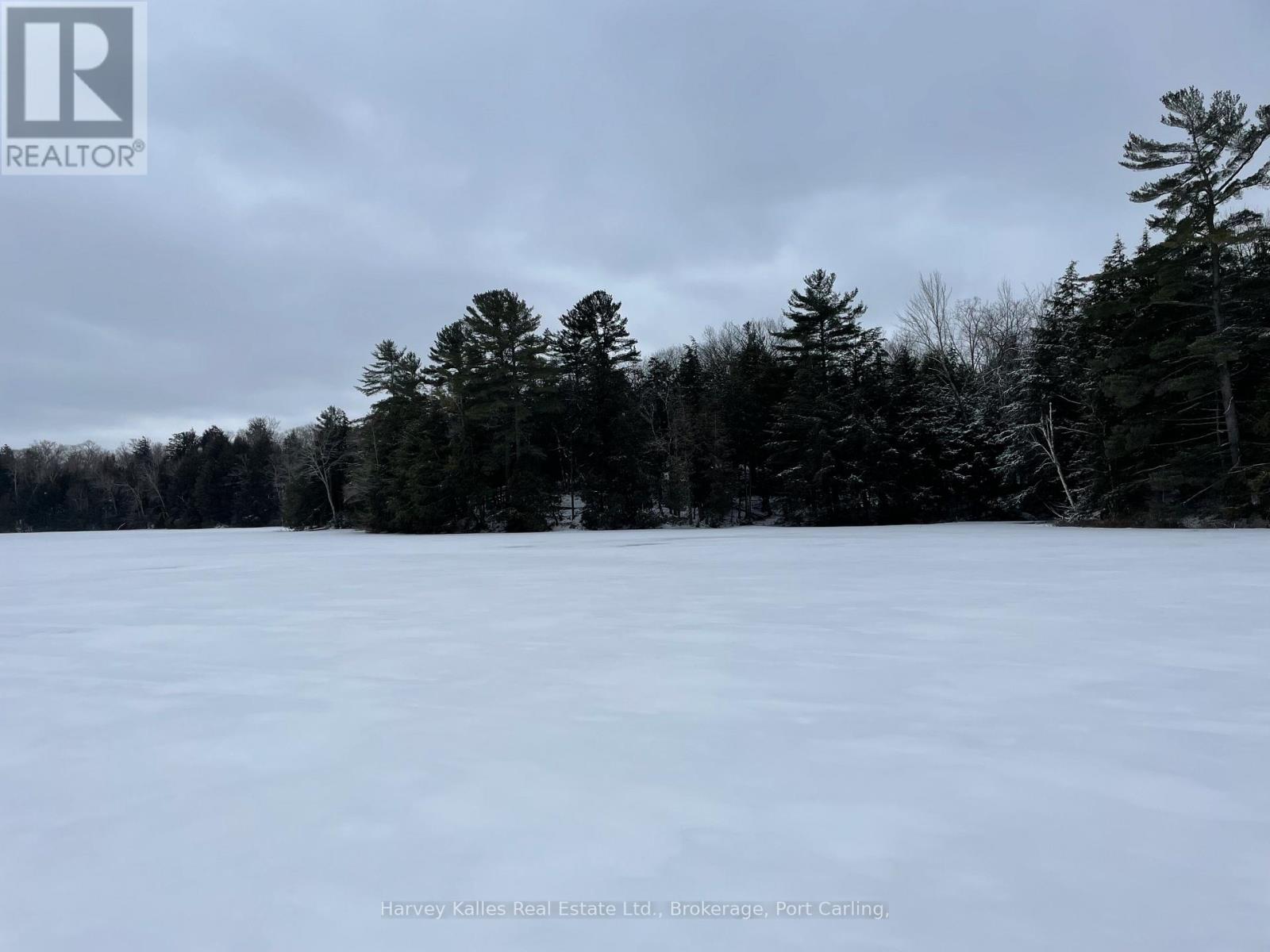 0 Windermere Road, Muskoka Lakes (Watt), Ontario P0B 1M0 - Photo 10 - X10437804