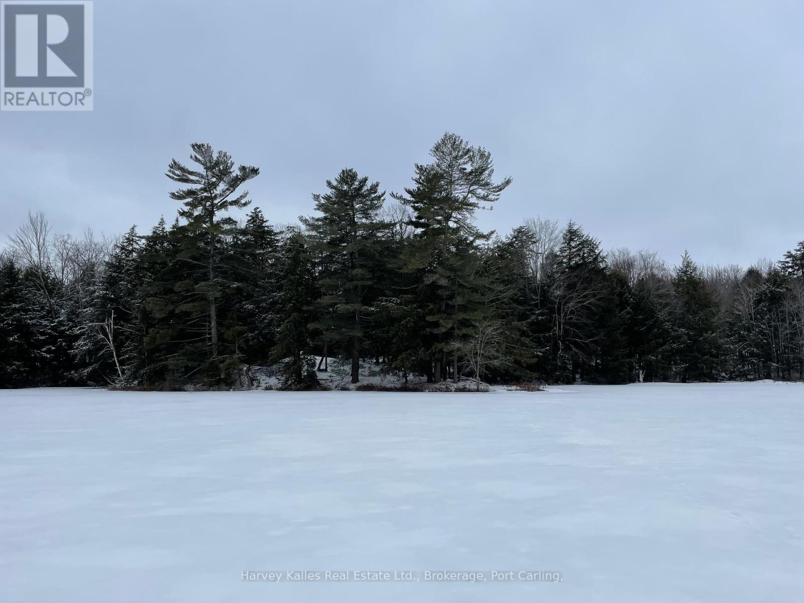 0 Windermere Road, Muskoka Lakes (Watt), Ontario P0B 1M0 - Photo 9 - X10437804