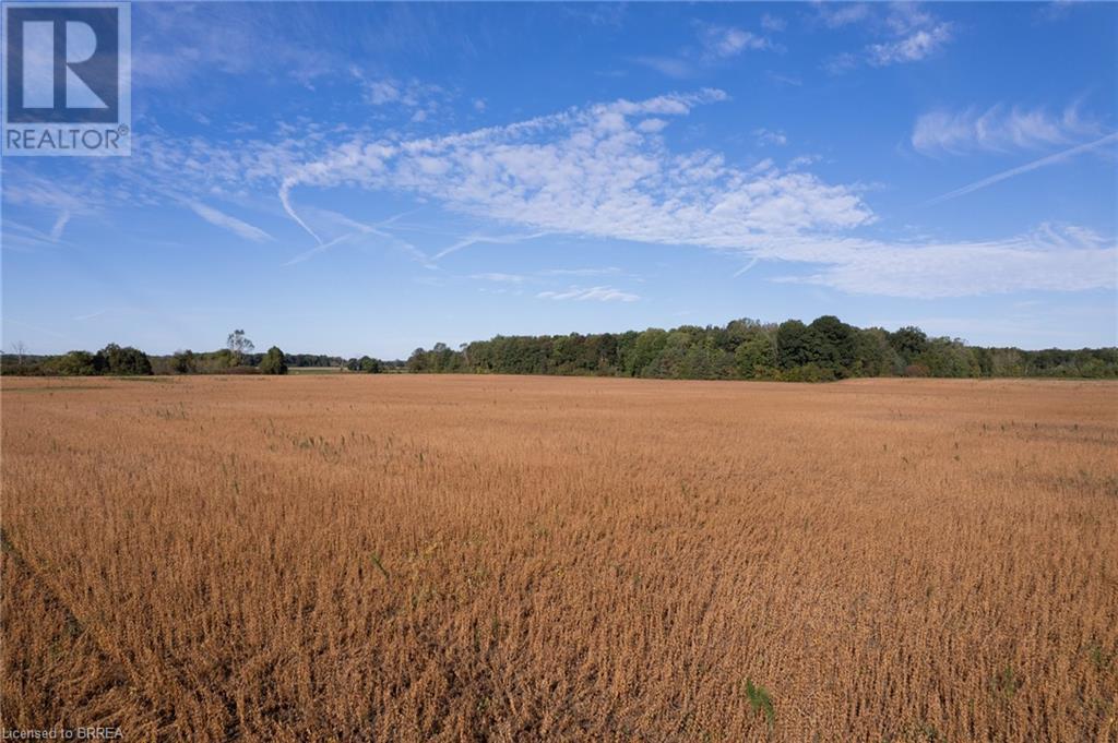 N/a 3rd Conc Road, St. Williams, Ontario N0E 1P0 - Photo 14 - 40656930