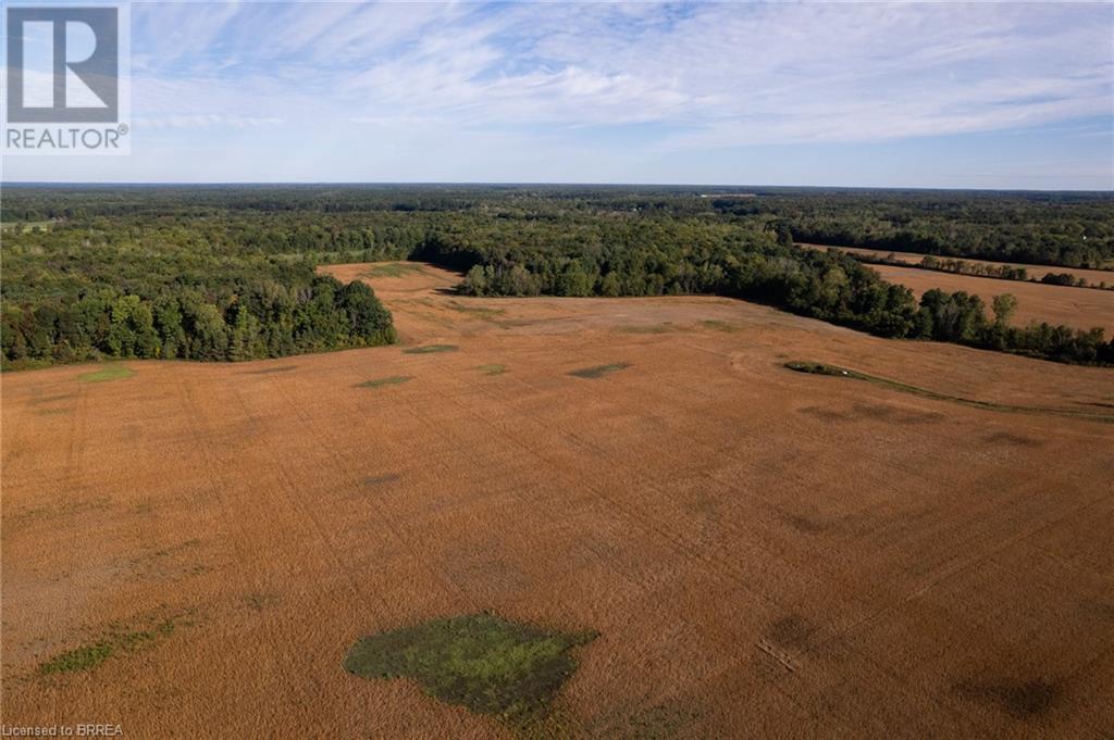 N/a 3rd Conc Road, St. Williams, Ontario N0E 1P0 - Photo 4 - 40656930