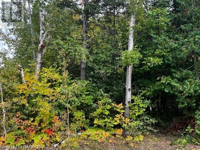 7 Shore Road, Saugeen Shores, Ontario N0H 2L0 - Photo 1 - X10846257