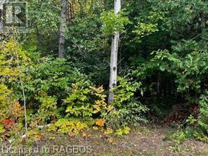 7 Shore Road, Saugeen Shores, Ontario N0H 2L0 - Photo 2 - X10846257