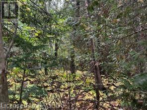7 Shore Road, Saugeen Shores, Ontario N0H 2L0 - Photo 3 - X10846257