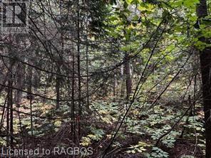7 Shore Road, Saugeen Shores, Ontario N0H 2L0 - Photo 4 - X10846257