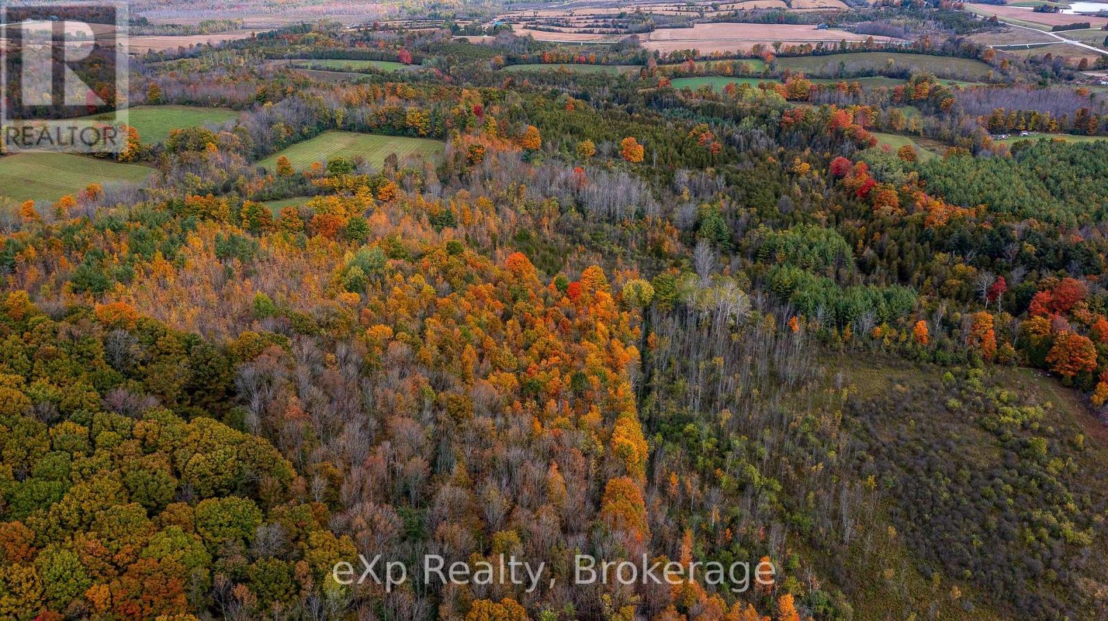 084482 6 Side Road, Meaford, Ontario  N0H 1E0 - Photo 18 - X11896061