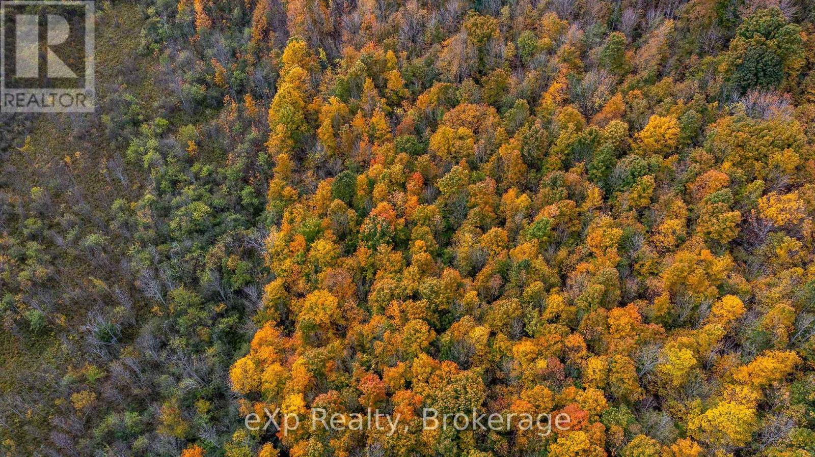 084482 6 Side Road, Meaford, Ontario  N0H 1E0 - Photo 19 - X11896061