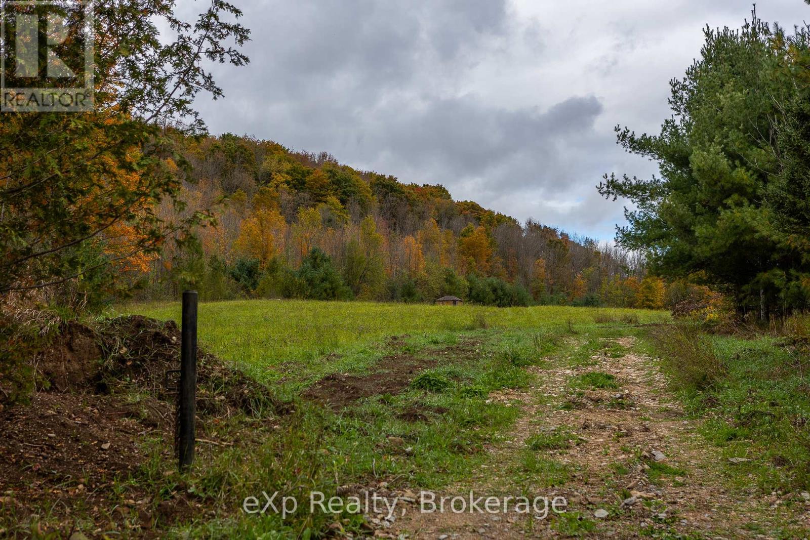 084482 6 Side Road, Meaford, Ontario  N0H 1E0 - Photo 4 - X11896061