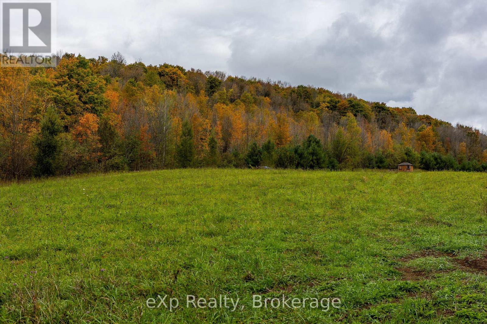 084482 6 Side Road, Meaford, Ontario  N0H 1E0 - Photo 6 - X11896061