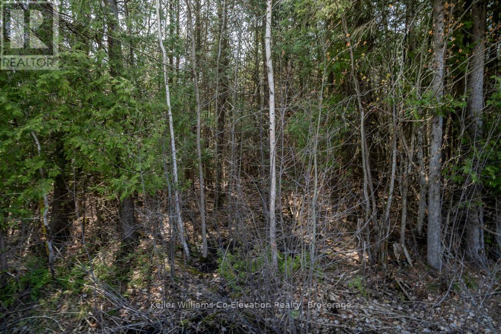 Lot 438 Champlain Road, Tiny, Ontario  L9M 1S5 - Photo 10 - S11918141