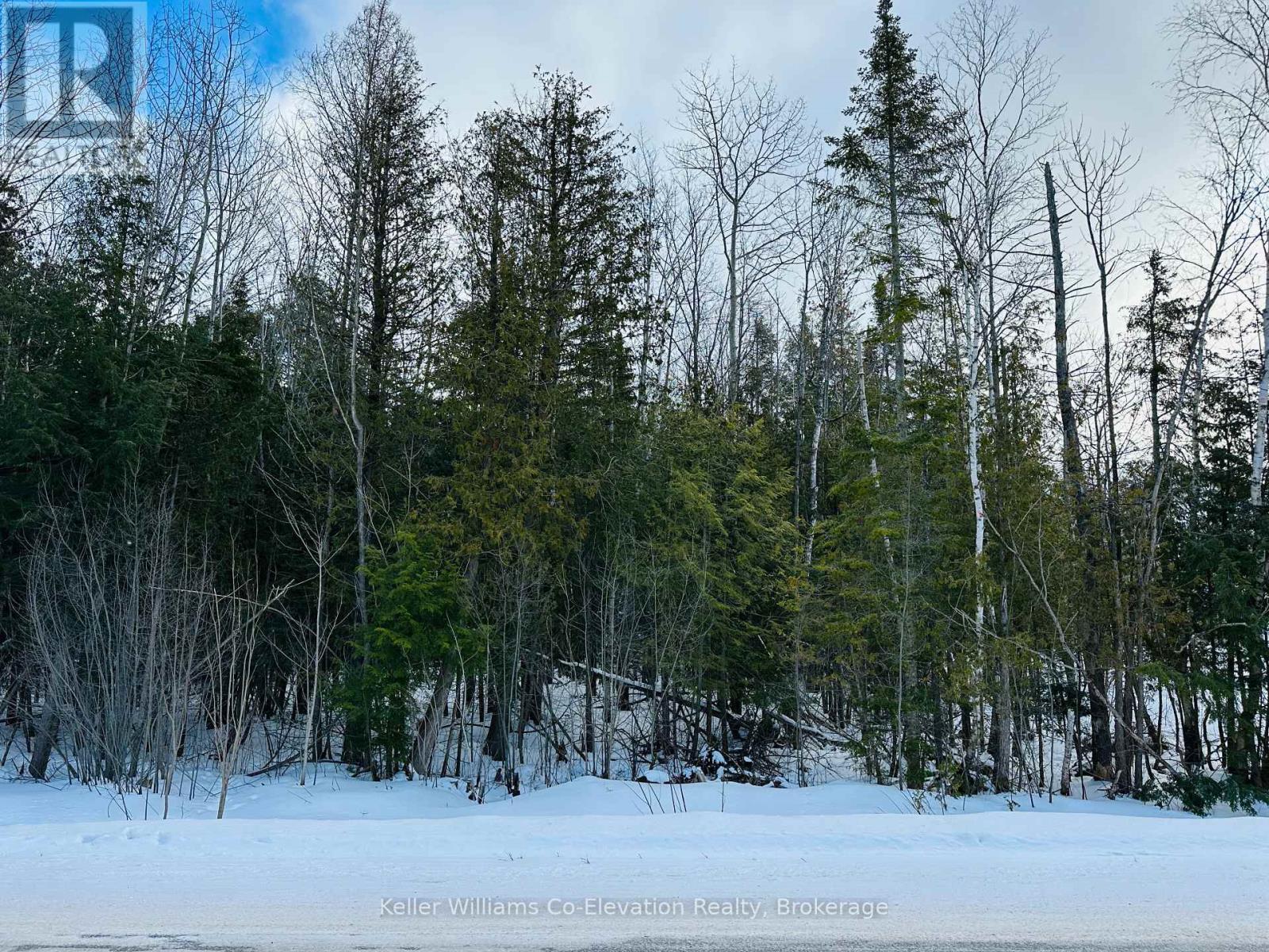 Lot 438 Champlain Road, Tiny, Ontario  L9M 1S5 - Photo 2 - S11918141