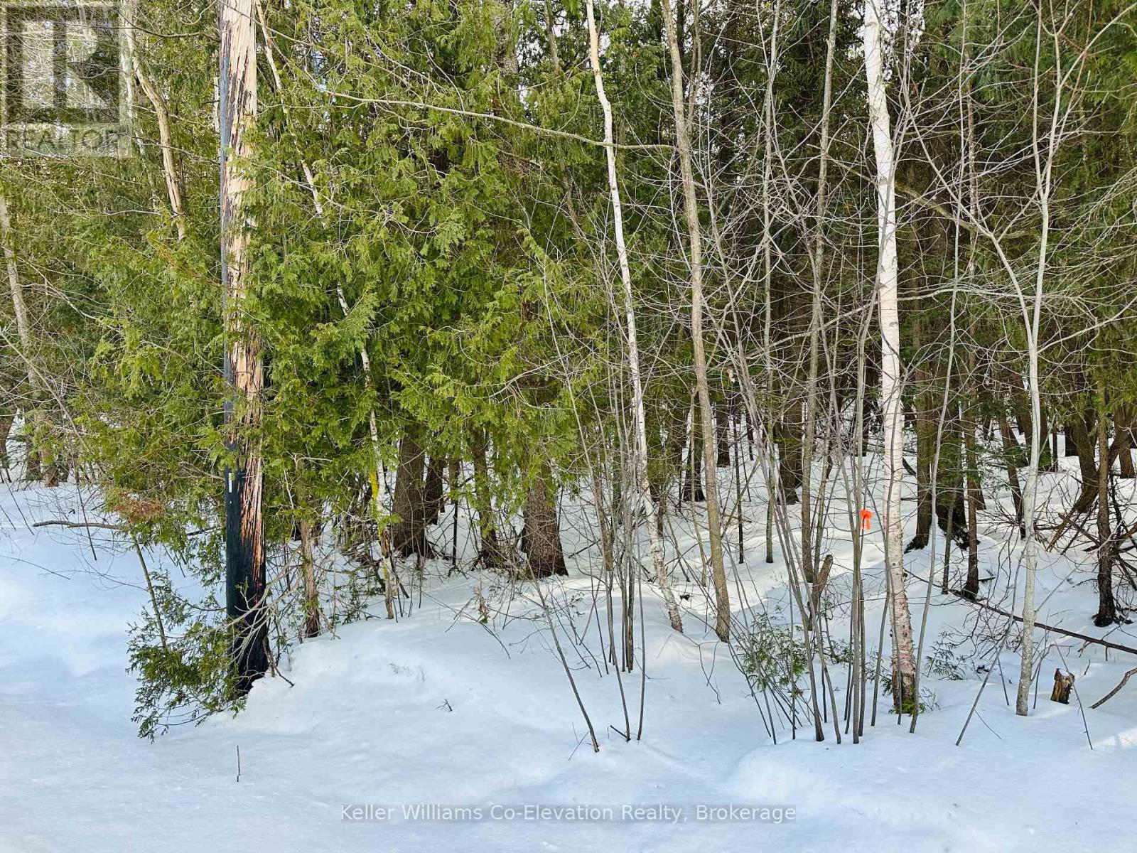 Lot 438 Champlain Road, Tiny, Ontario  L9M 1S5 - Photo 3 - S11918141