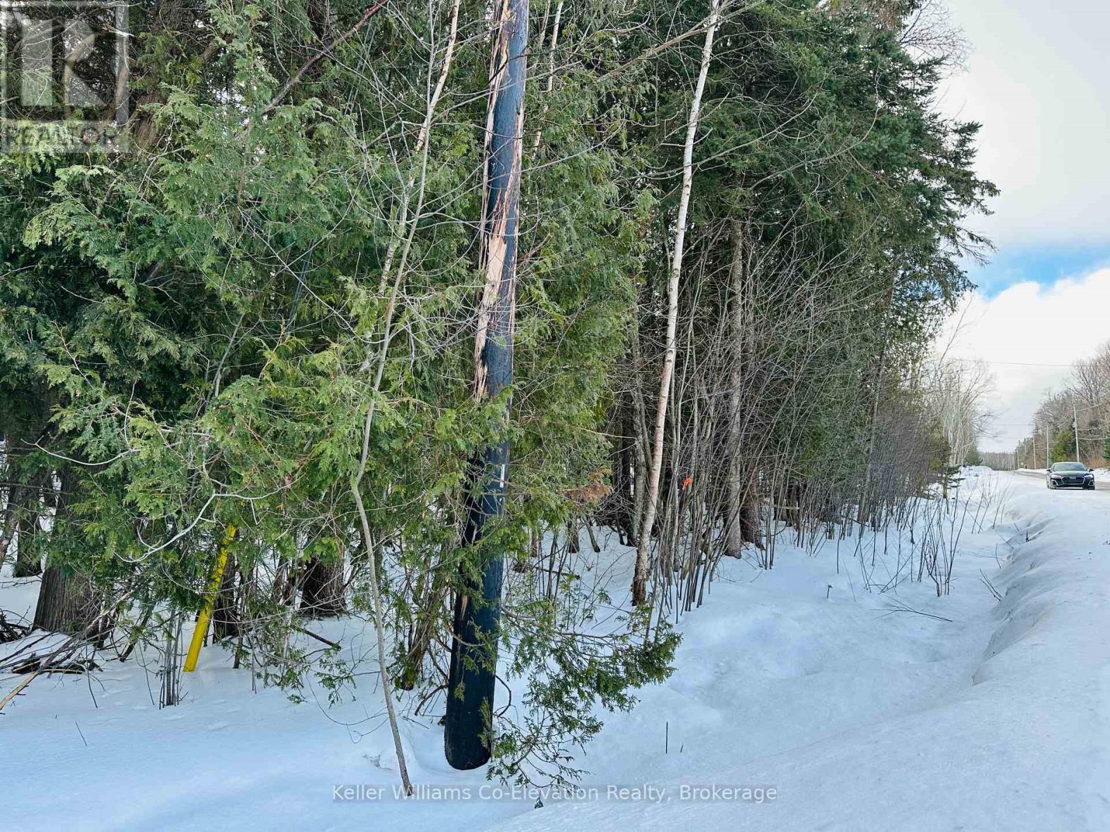 Lot 438 Champlain Road, Tiny, Ontario  L9M 1S5 - Photo 4 - S11918141