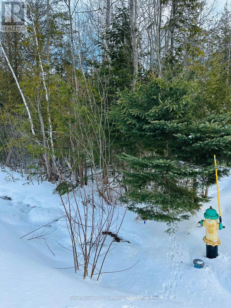 Lot 438 Champlain Road, Tiny, Ontario  L9M 1S5 - Photo 5 - S11918141