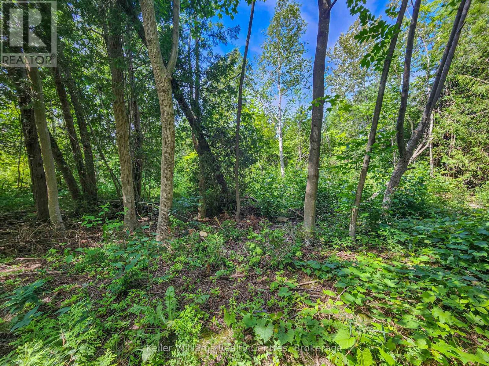 151 Mallard St, Georgian Bluffs, Ontario  N0H 2T0 - Photo 3 - X11922908