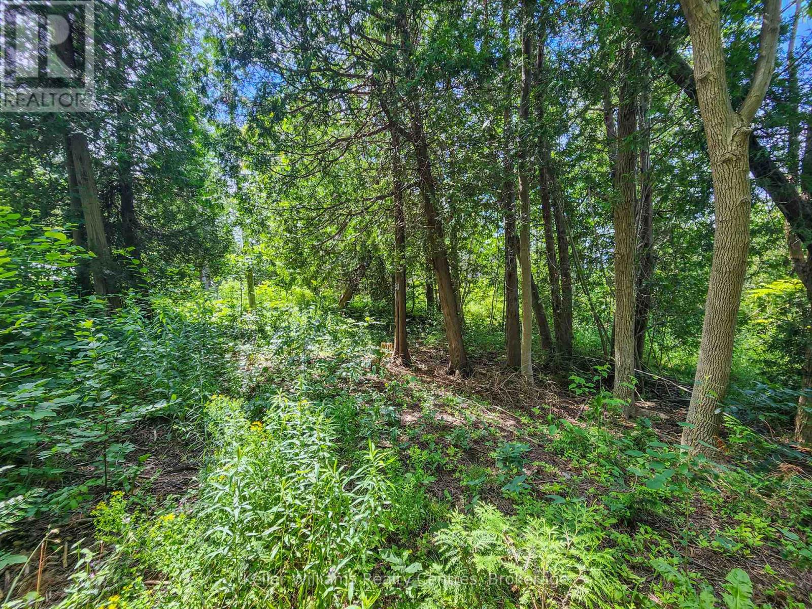 151 Mallard St, Georgian Bluffs, Ontario  N0H 2T0 - Photo 4 - X11922908