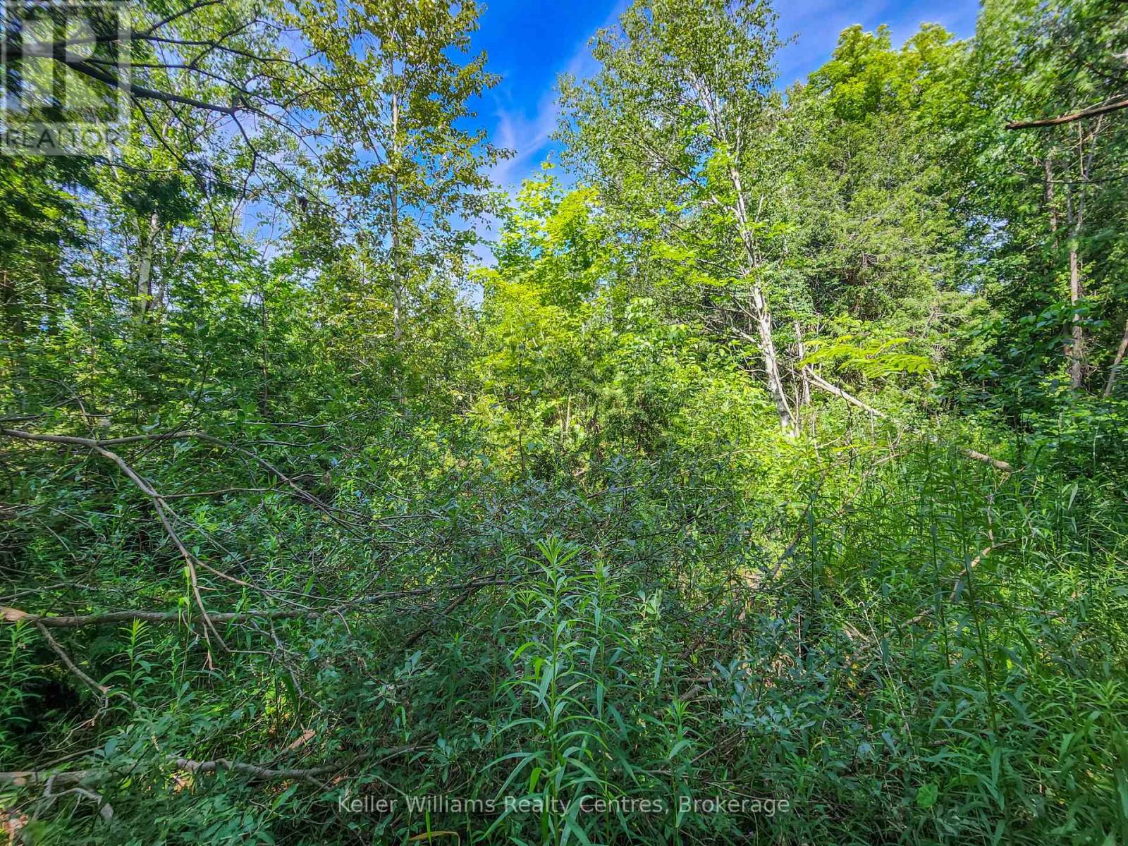 151 Mallard St, Georgian Bluffs, Ontario  N0H 2T0 - Photo 6 - X11922908