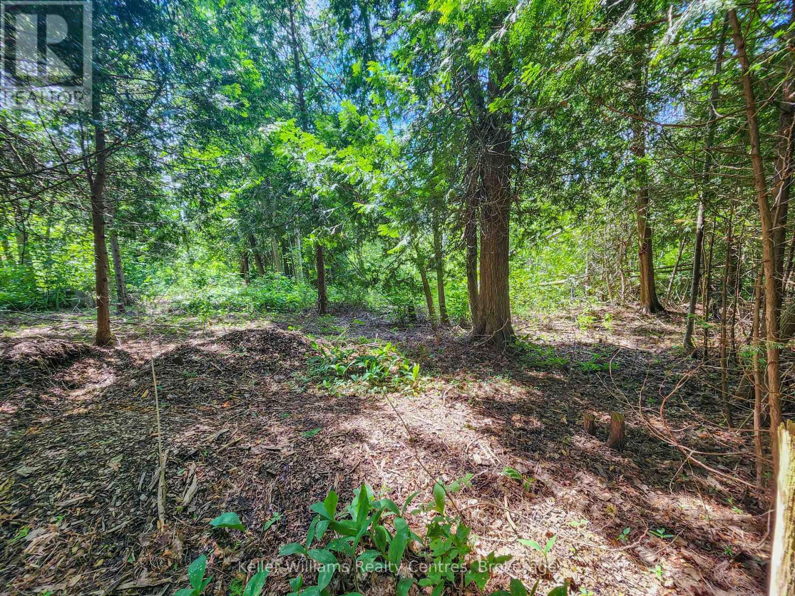 151 Mallard St, Georgian Bluffs, Ontario  N0H 2T0 - Photo 8 - X11922908