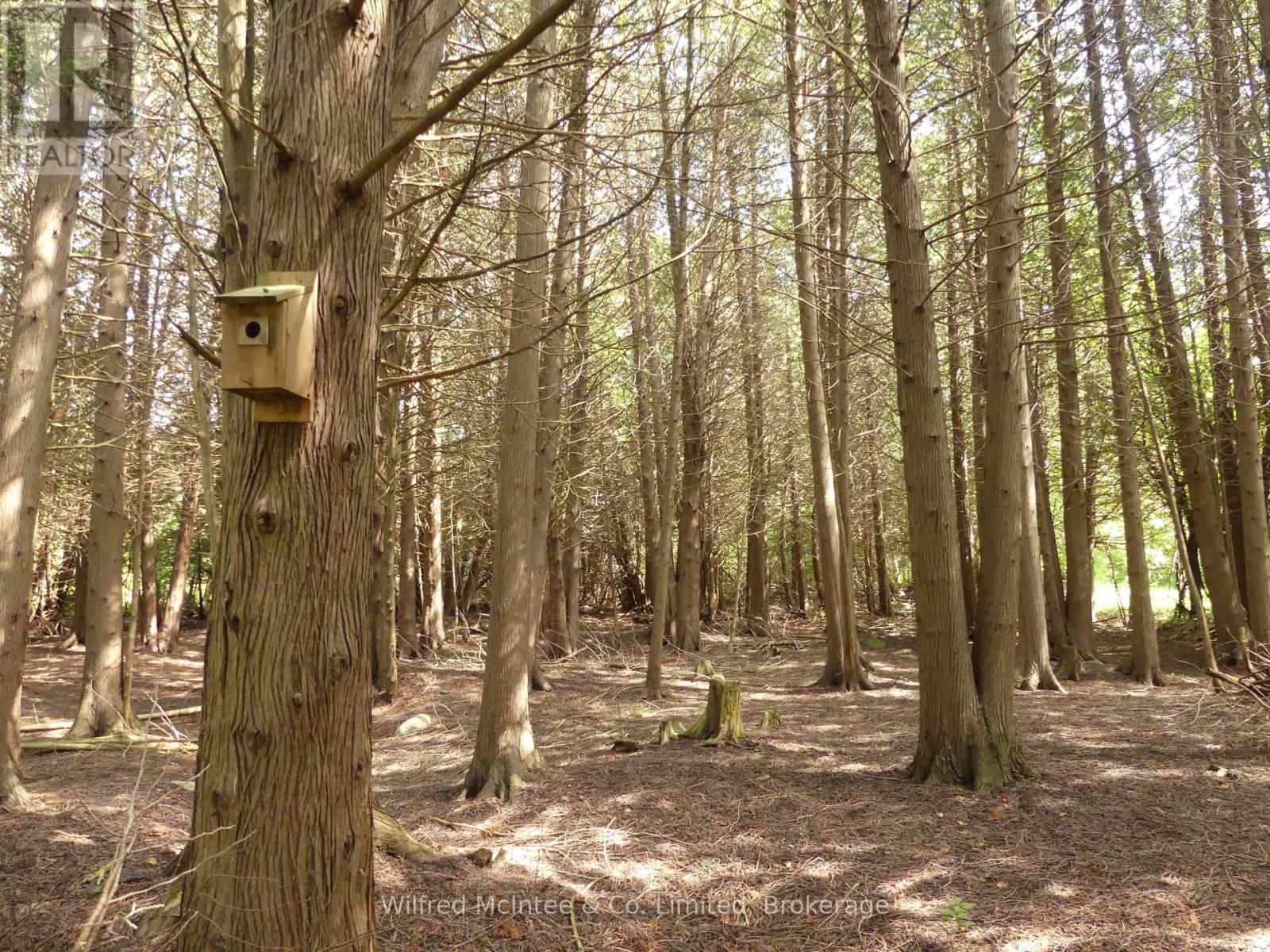 36823 Belfast Road, Ashfield-Colborne-Wawanosh (Ashfield), Ontario  N0G 2H0 - Photo 15 - X11944032