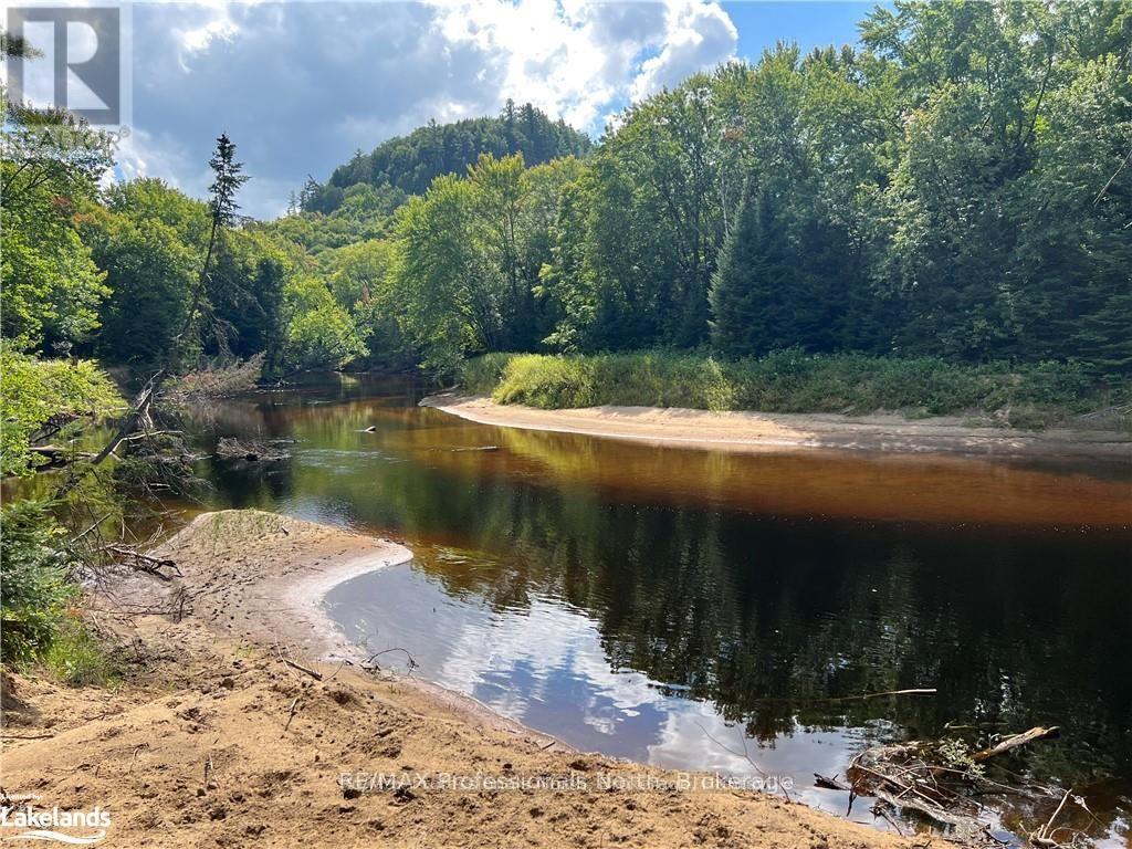 304 Old North Road, Huntsville (Chaffey), Ontario P1H 2J4 - Photo 9 - X11993776