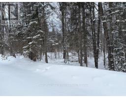 59 SUMMER LEIGH TRAIL, huntsville (stephenson), Ontario