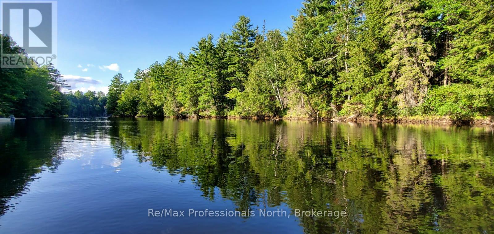 269 Balsam Chutes Road, Huntsville (Stephenson), Ontario  P0B 1L0 - Photo 7 - X11995270