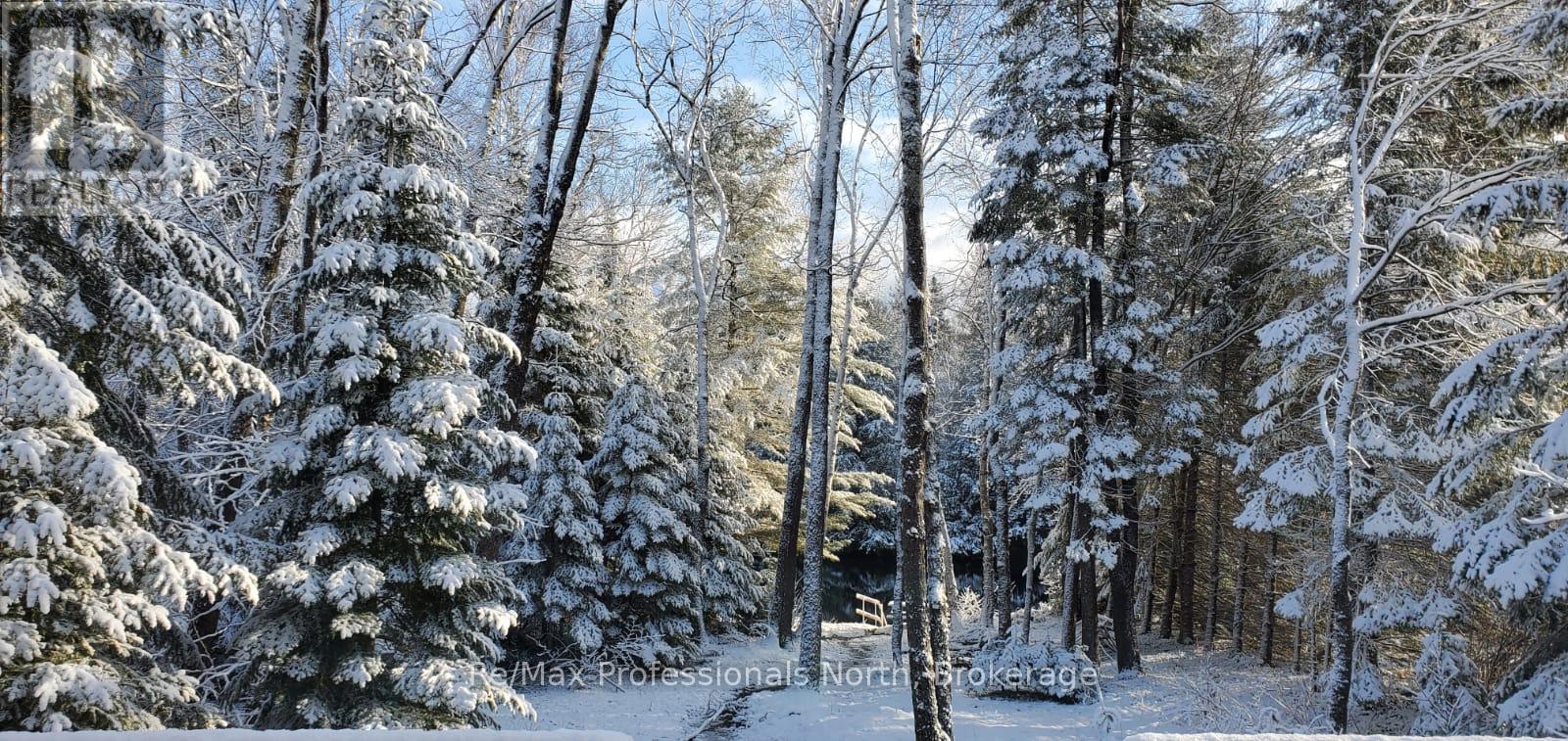 269 Balsam Chutes Road, Huntsville (Stephenson), Ontario  P0B 1L0 - Photo 8 - X11995270