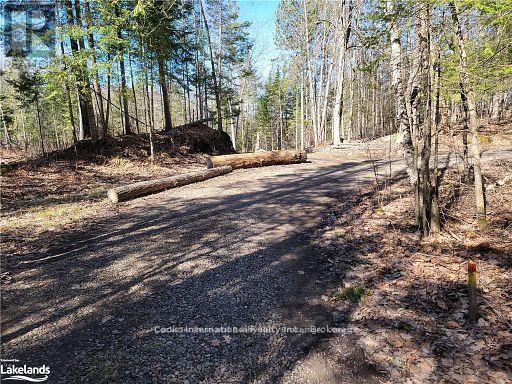 0 Highway 35 Highway, Lake Of Bays (Ridout), Ontario  P0A 1E0 - Photo 11 - X11996909