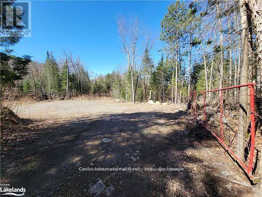 0 Highway 35 Highway, Lake Of Bays (Ridout), Ontario  P0A 1E0 - Photo 12 - X11996909