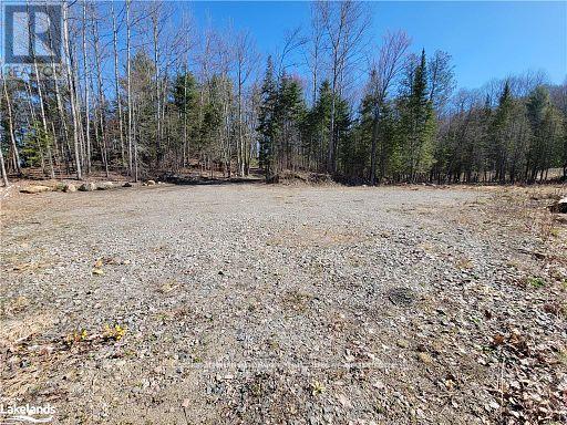 0 Highway 35 Highway, Lake Of Bays (Ridout), Ontario  P0A 1E0 - Photo 14 - X11996909