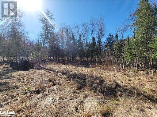 0 Highway 35 Highway, Lake Of Bays (Ridout), Ontario  P0A 1E0 - Photo 17 - X11996909