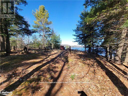 0 Highway 35 Highway, Lake Of Bays (Ridout), Ontario  P0A 1E0 - Photo 21 - X11996909
