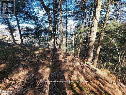 0 Highway 35 Highway, Lake Of Bays (Ridout), Ontario  P0A 1E0 - Photo 25 - X11996909