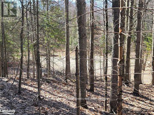0 Highway 35 Highway, Lake Of Bays (Ridout), Ontario  P0A 1E0 - Photo 32 - X11996909