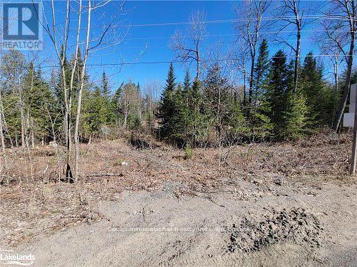0 Highway 35 Highway, Lake Of Bays (Ridout), Ontario  P0A 1E0 - Photo 38 - X11996909