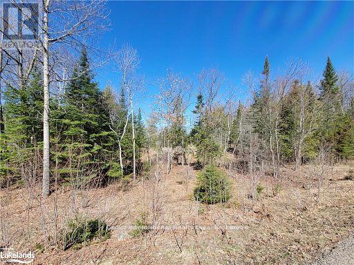 0 Highway 35 Highway, Lake Of Bays (Ridout), Ontario  P0A 1E0 - Photo 39 - X11996909