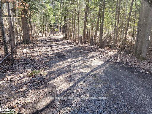0 Highway 35 Highway, Lake Of Bays (Ridout), Ontario  P0A 1E0 - Photo 41 - X11996909