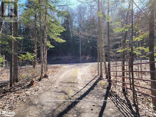 0 Highway 35 Highway, Lake Of Bays (Ridout), Ontario  P0A 1E0 - Photo 42 - X11996909