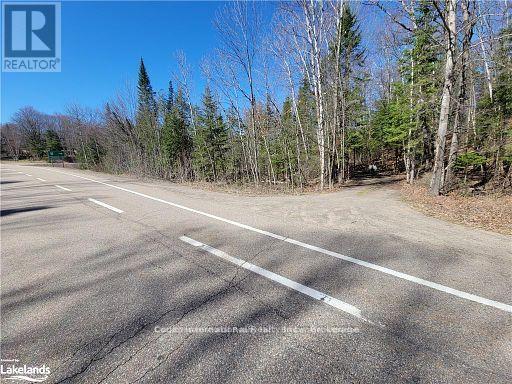 0 Highway 35 Highway, Lake Of Bays (Ridout), Ontario  P0A 1E0 - Photo 44 - X11996909