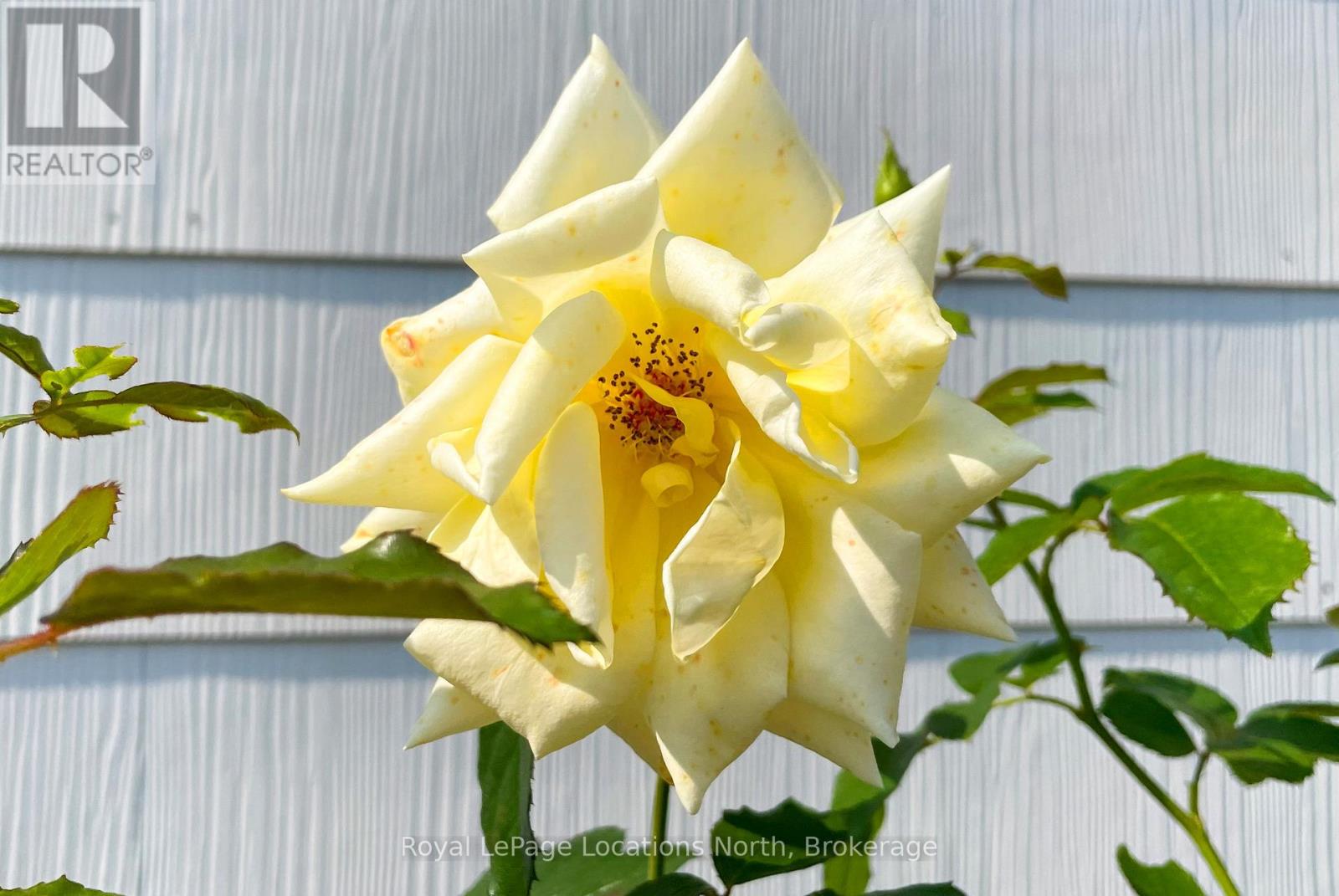 210 Cherry Street, Clearview (Stayner), Ontario  L0M 1S0 - Photo 7 - S12000537