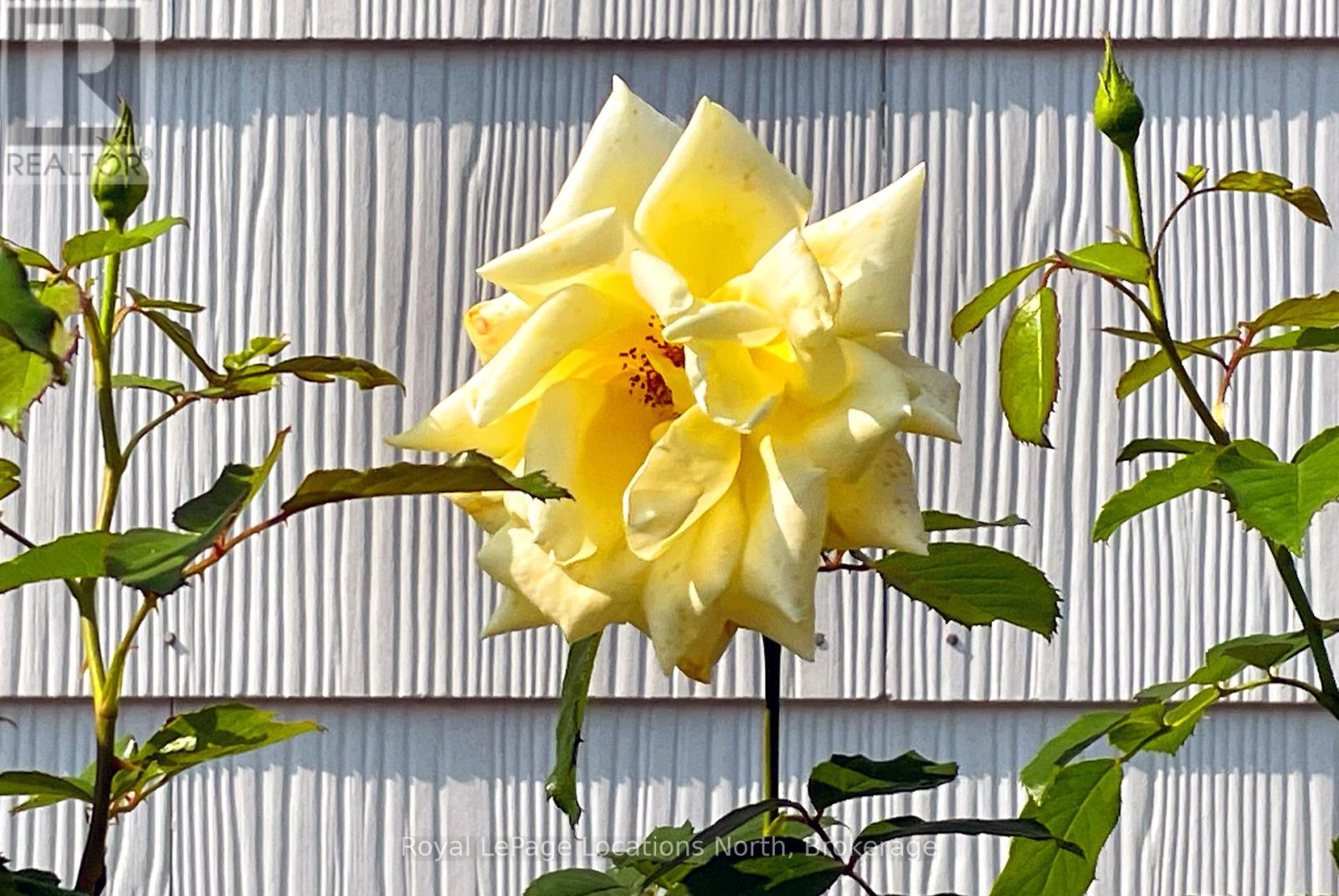 210 Cherry Street, Clearview (Stayner), Ontario  L0M 1S0 - Photo 8 - S12000537