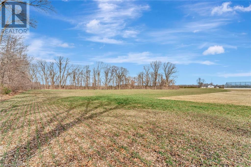 1135 Norfolk Cty Rd 19 W, Vanessa, Ontario  N0E 1V0 - Photo 3 - 40704629