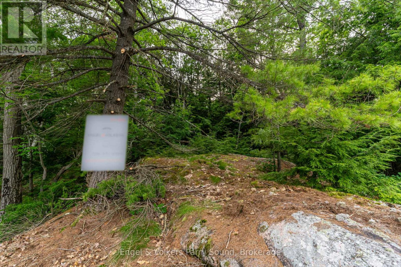 24&25 Part Lot 24&25 Giles Road, Seguin, Ontario  P2A 0B2 - Photo 26 - X12024631