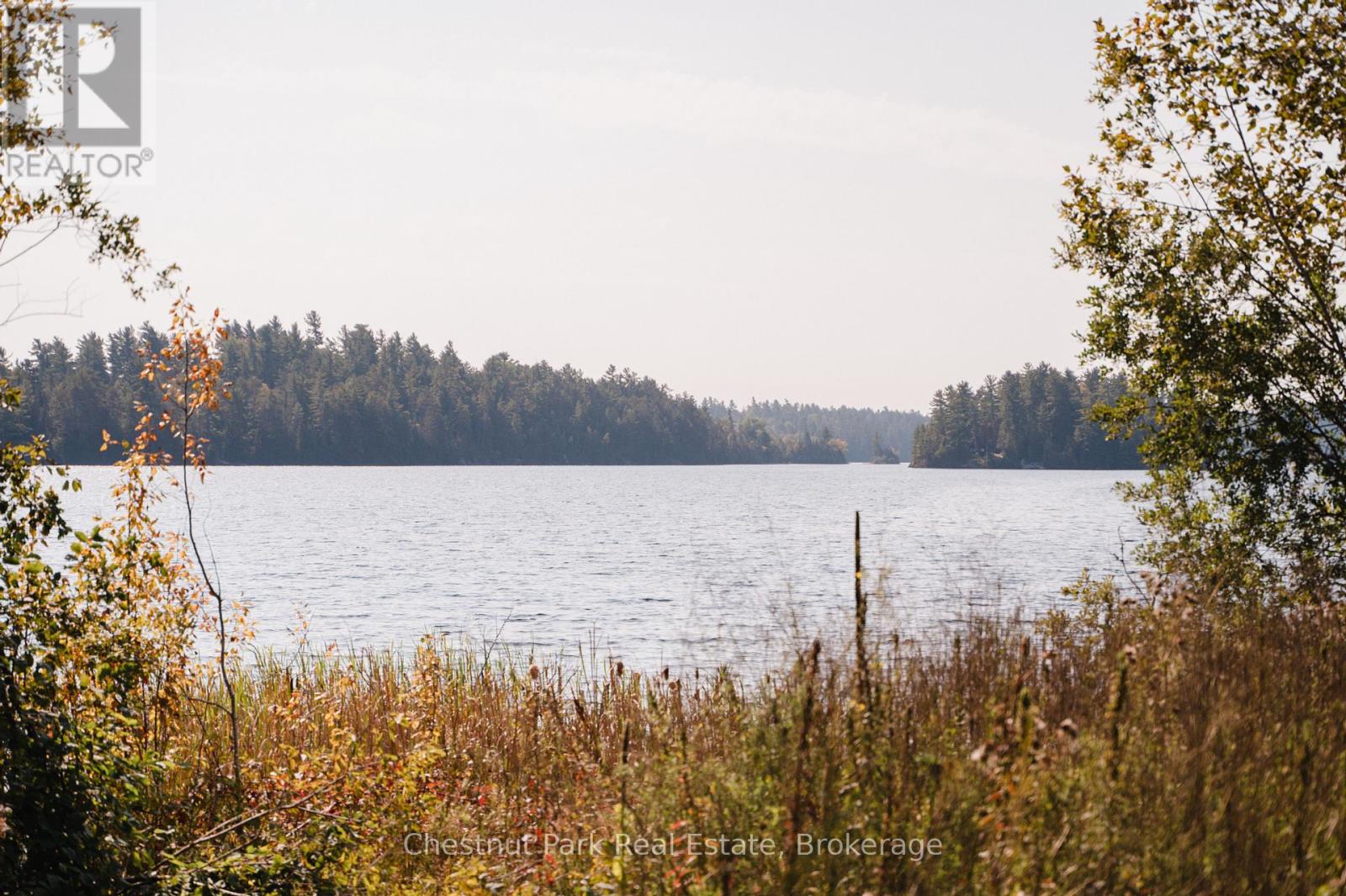 38 White Bear Court, Temagami, Ontario P0H 2H0 - Photo 4 - X12030179