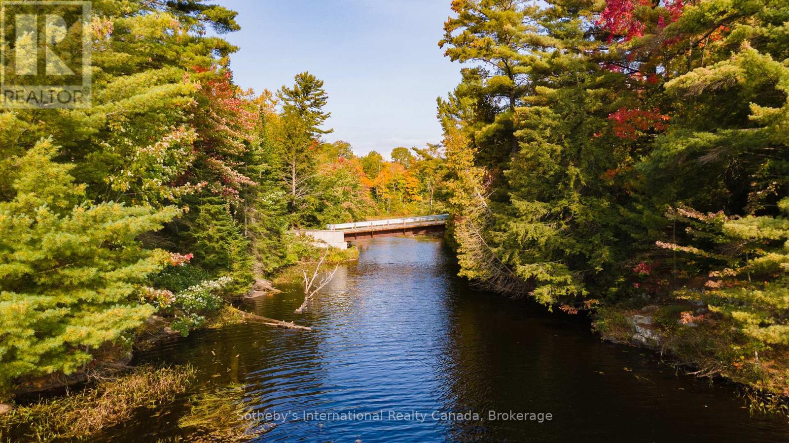 17 Pauls Bay Road, Mcdougall, Ontario  P2A 2W7 - Photo 5 - X12030403