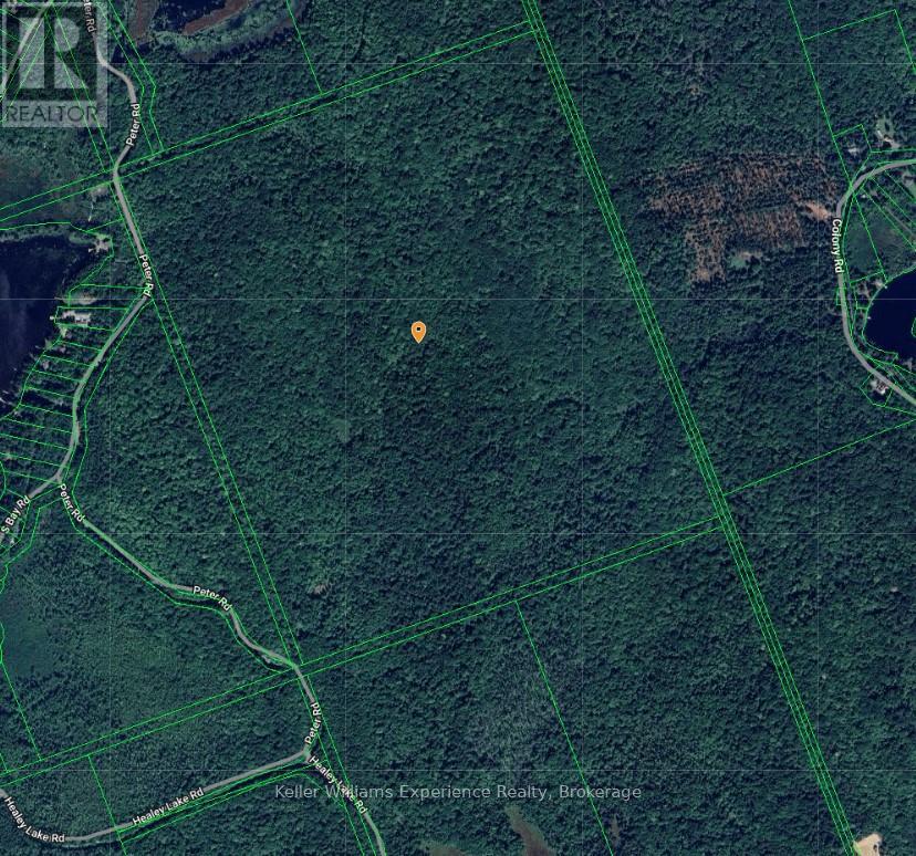 0 Peter Road, Bracebridge (Macaulay), Ontario  P1L 1X3 - Photo 3 - X12115494